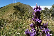 Anello con tris di cime Baciamorti-Aralalta-Sodadura il 20 settembre 2017 - FOTOGALLERY